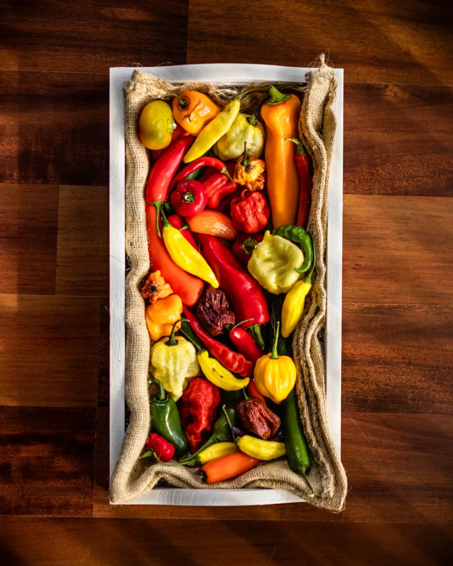 Food and Beverage Photography