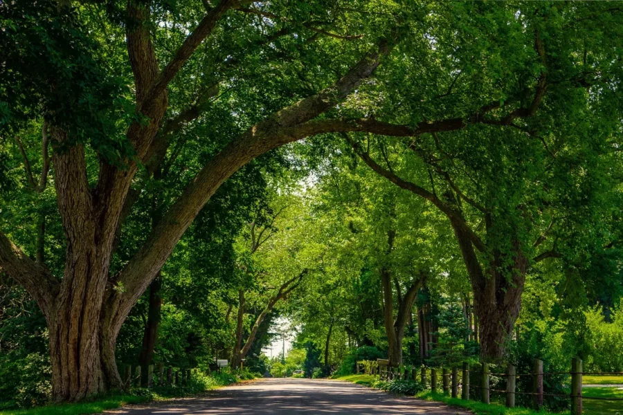 Travel Photography